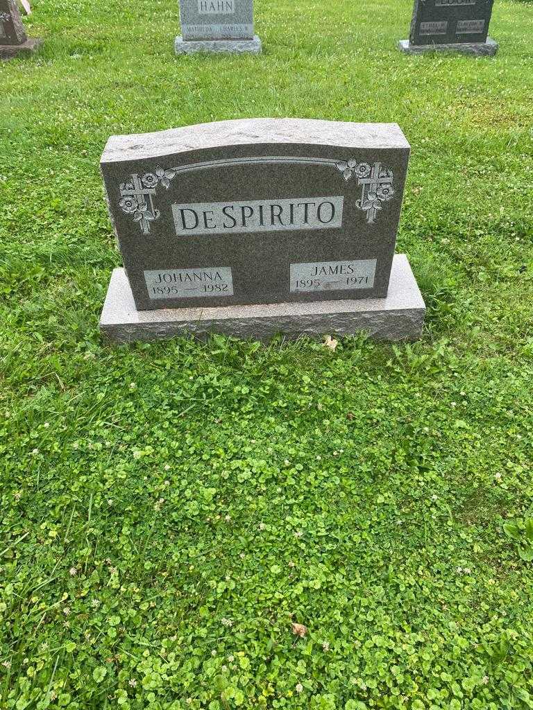 James DeSpirito's grave. Photo 2