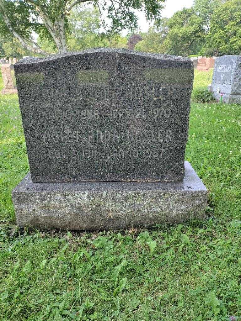 Anna Blume Hosler's grave. Photo 1