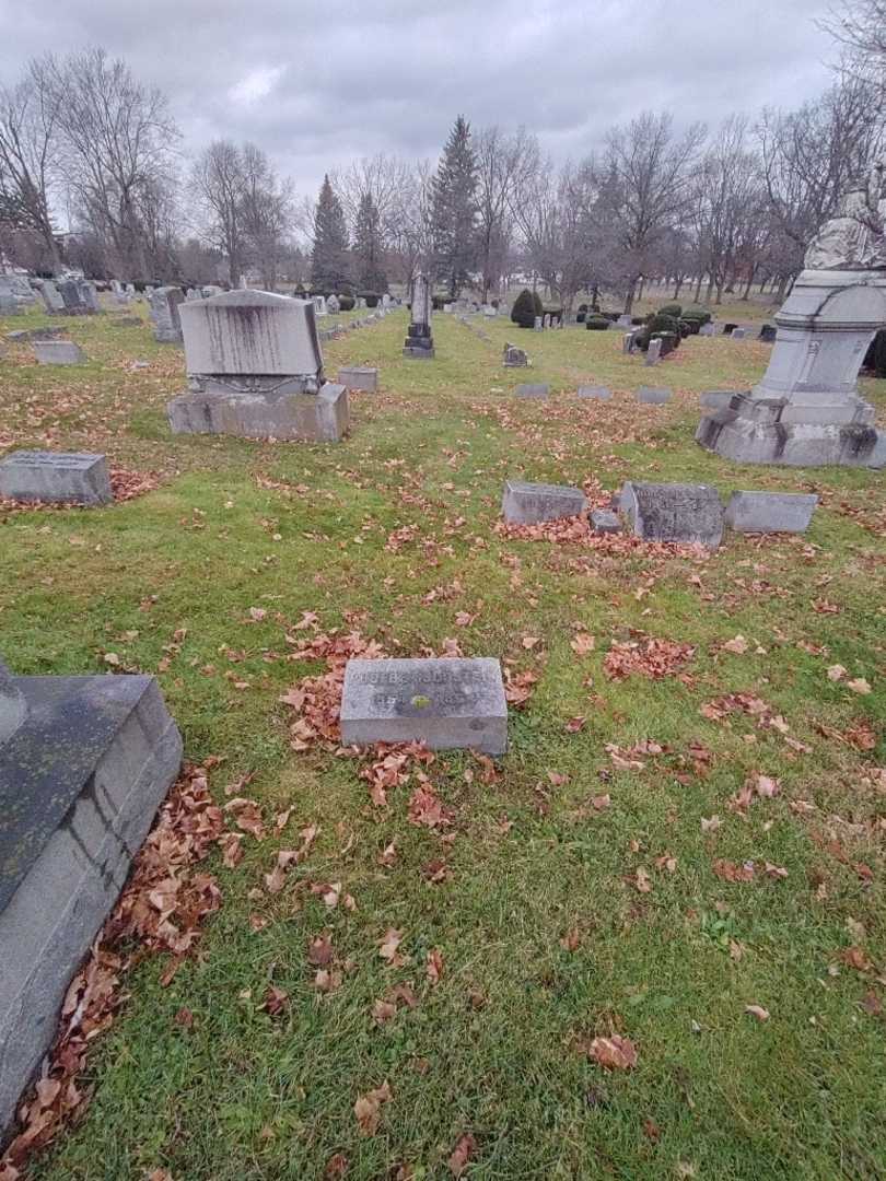 Phoebe Goldstein's grave. Photo 1