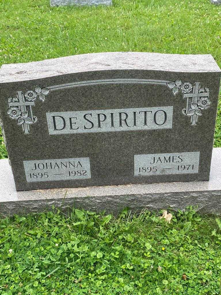 Johanna DeSpirito's grave. Photo 3