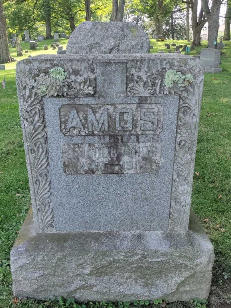 George J. Amos's grave. Photo 3