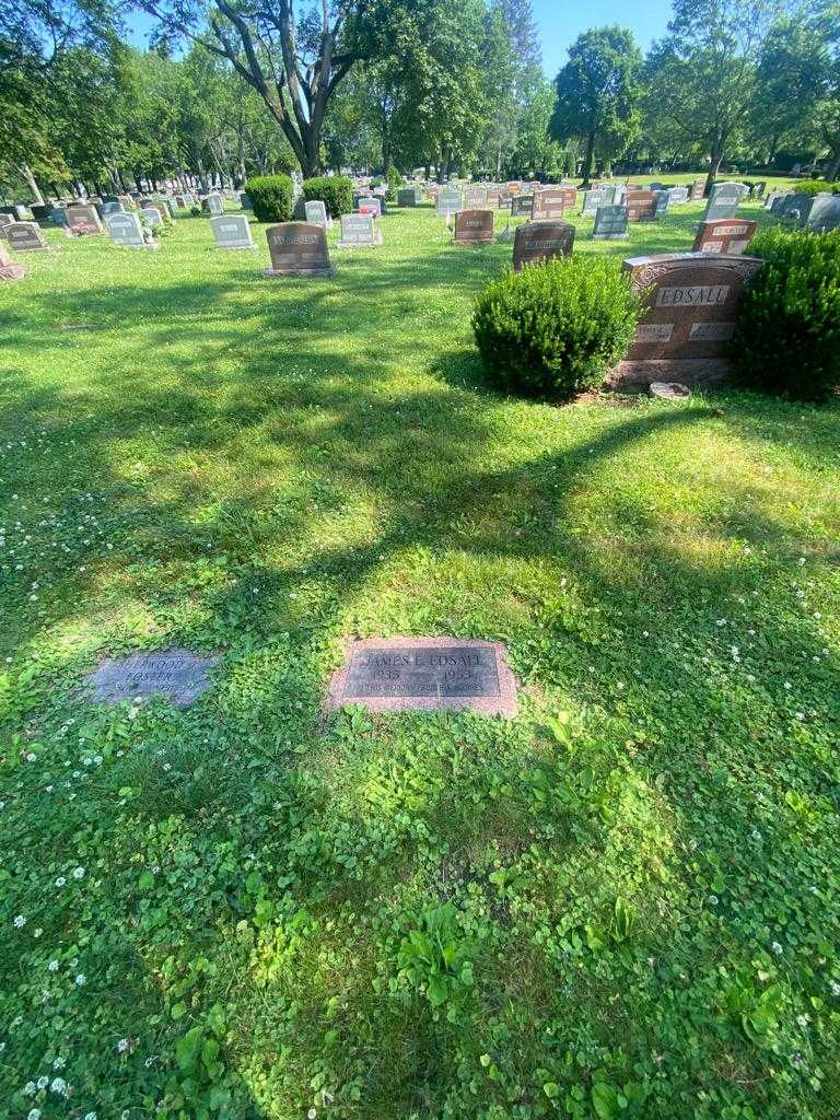 James E. Edsall's grave. Photo 1
