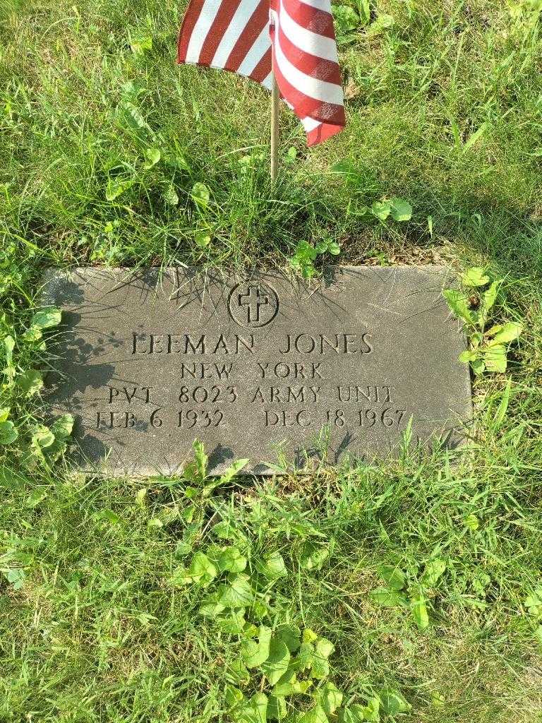 Nancy I. Smith Leeman's grave. Photo 1