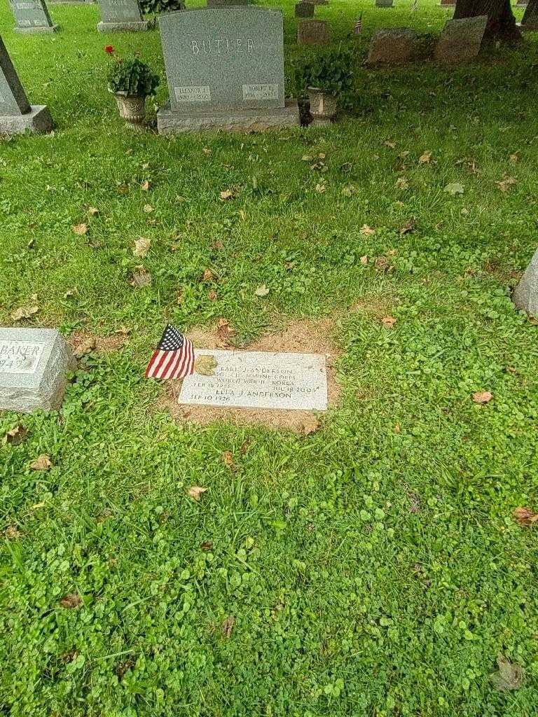 Earl J. Anderson's grave. Photo 1