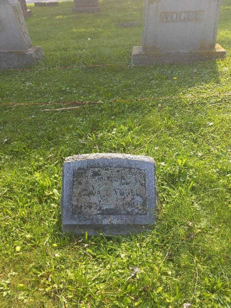 Anna Louise Wilke Vogel's grave. Photo 1