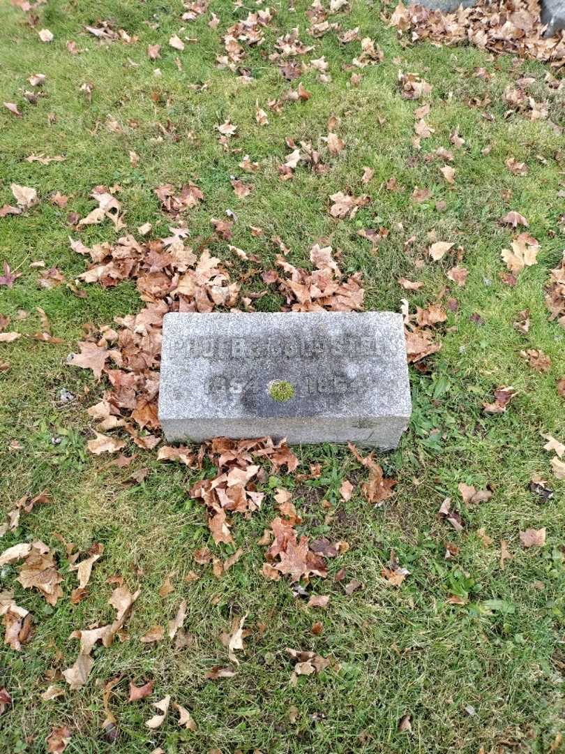 Phoebe Goldstein's grave. Photo 2