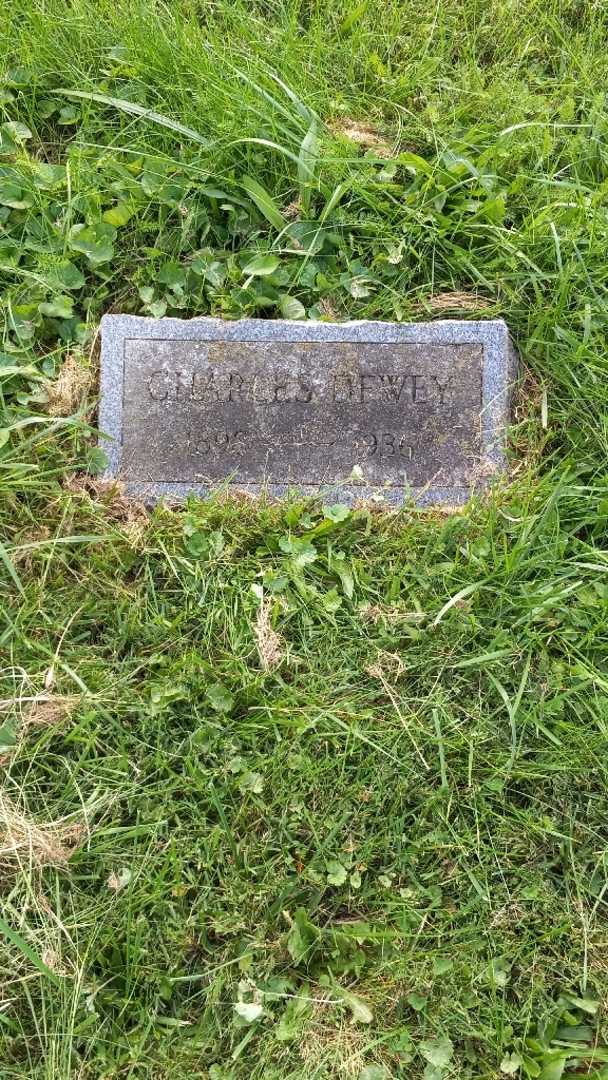 Charles D. Hazle Dewey's grave. Photo 2