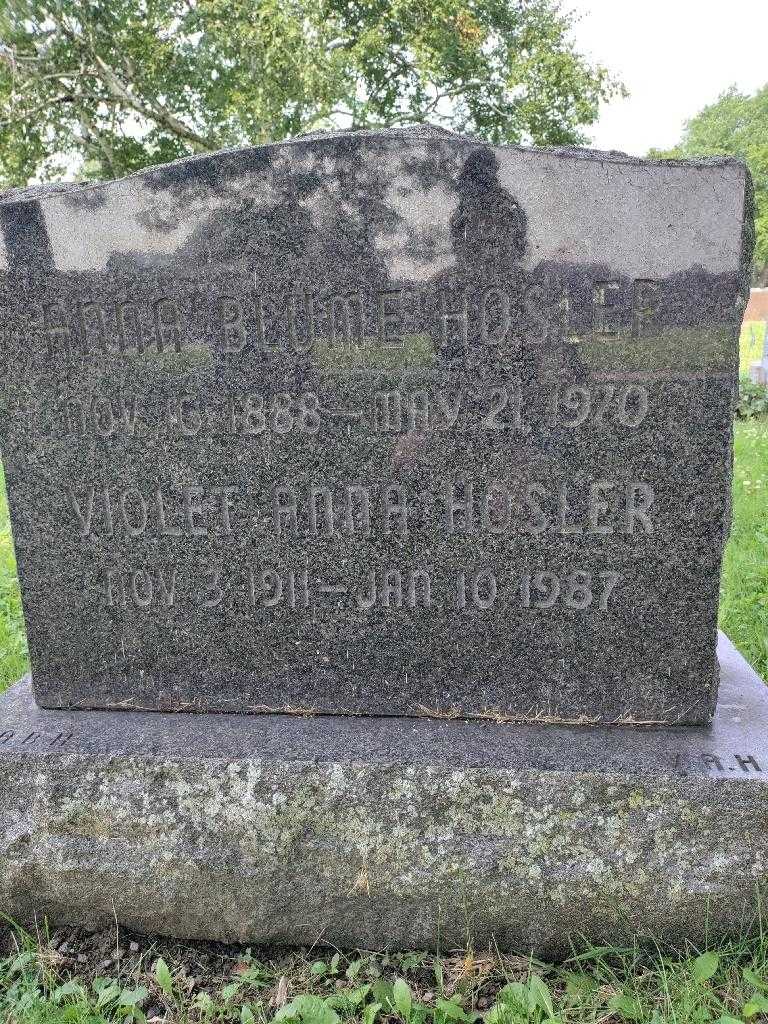 Anna Blume Hosler's grave. Photo 3