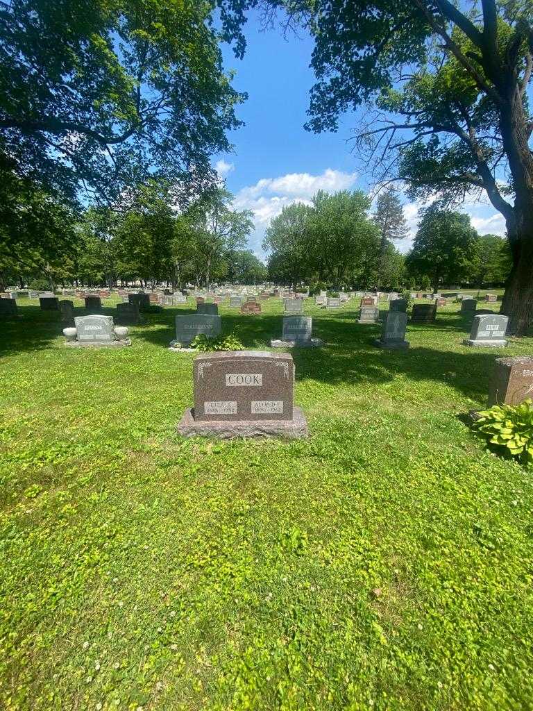 Alfred F. Cook's grave. Photo 1