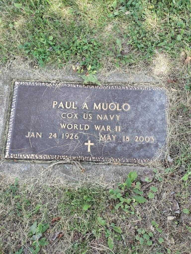 Paul A. Muolo's grave. Photo 4