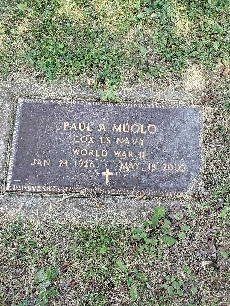 Paul A. Muolo's grave. Photo 5