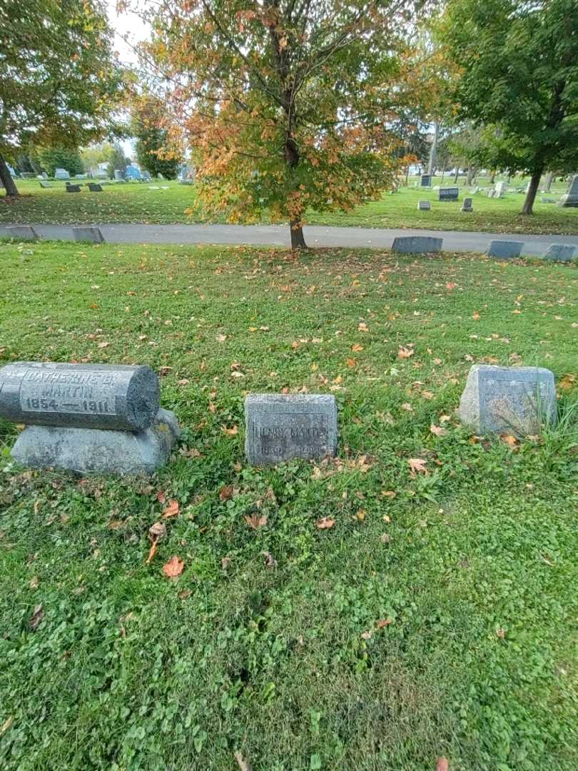 Henry Martin's grave. Photo 1