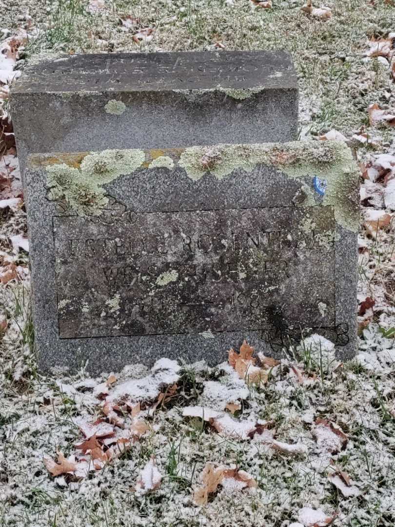 Estelle Weis Rosenthal Kushner's grave. Photo 3