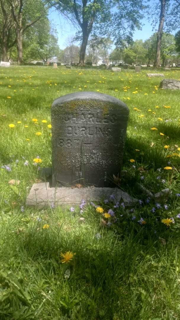 Charles L. Durling's grave. Photo 3