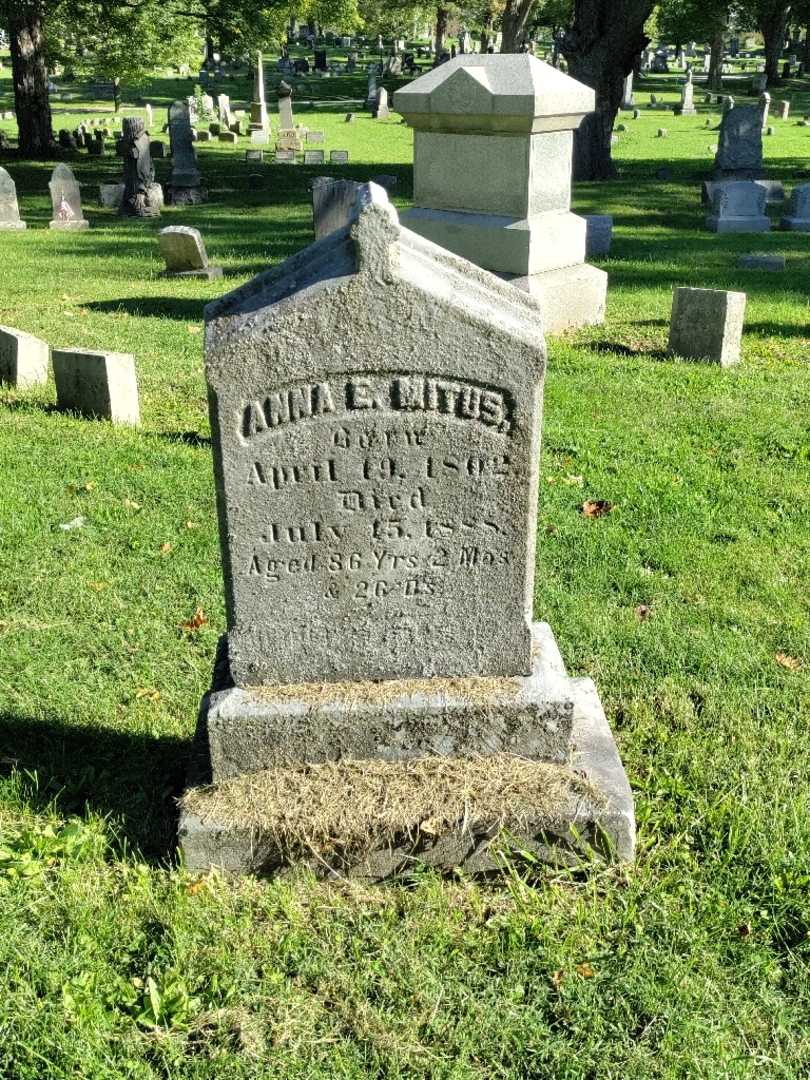 Anna Elizabeth Mitus's grave. Photo 2