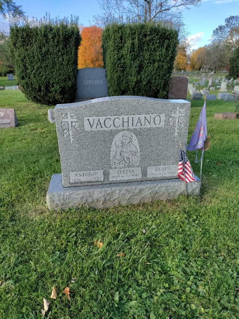 Antonio Vacchiano's grave. Photo 2