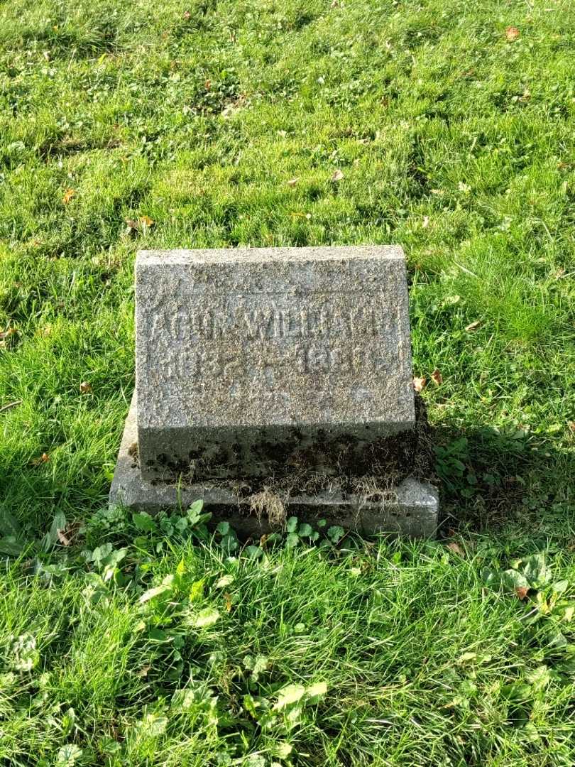 Agur Williams's grave. Photo 2
