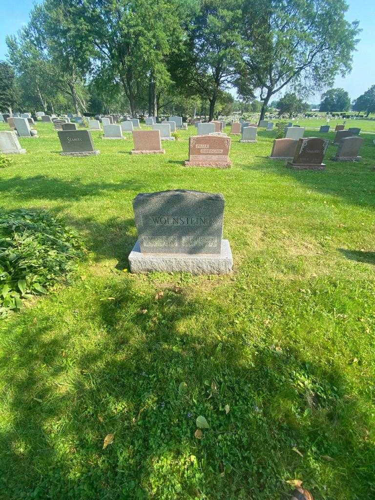 Caroline F. Wolnstein's grave. Photo 1