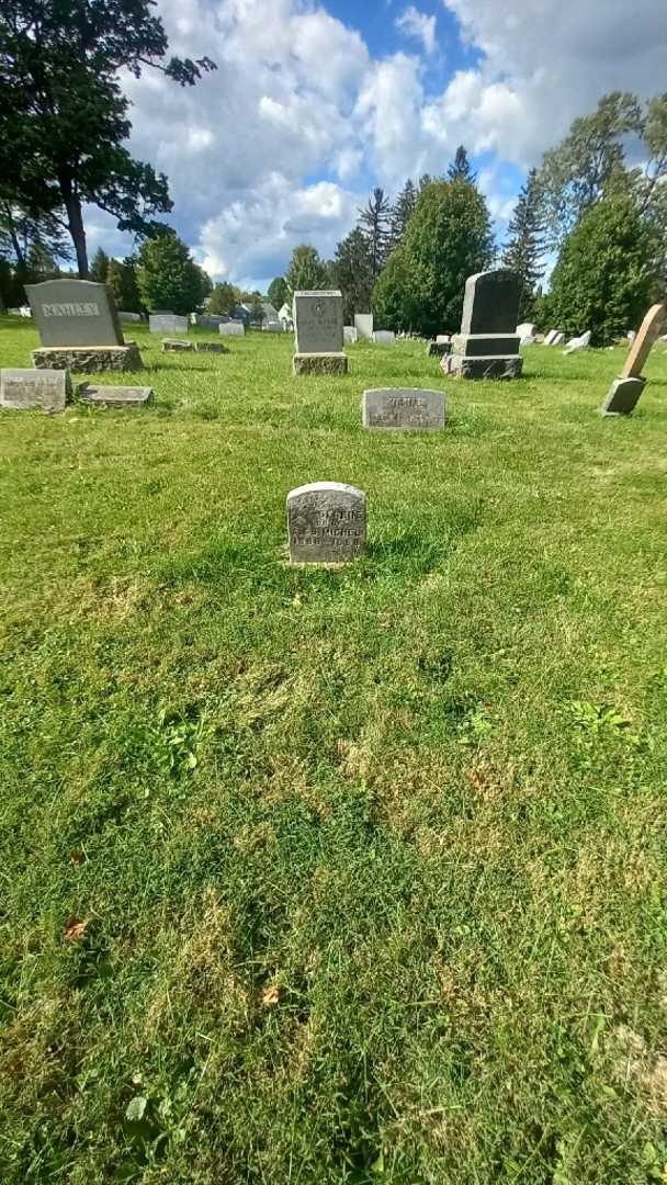 George Michel's grave. Photo 1