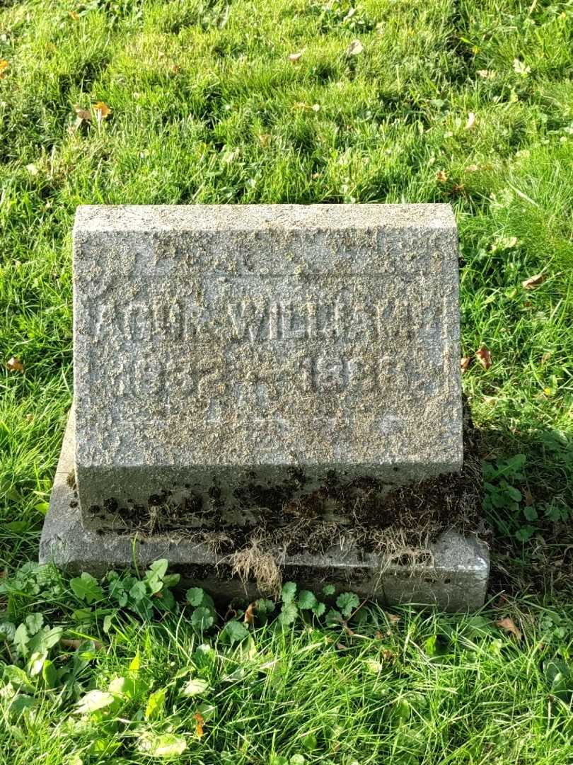 Agur Williams's grave. Photo 3