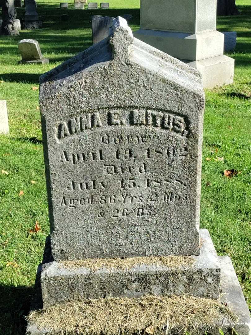 Anna Elizabeth Mitus's grave. Photo 3