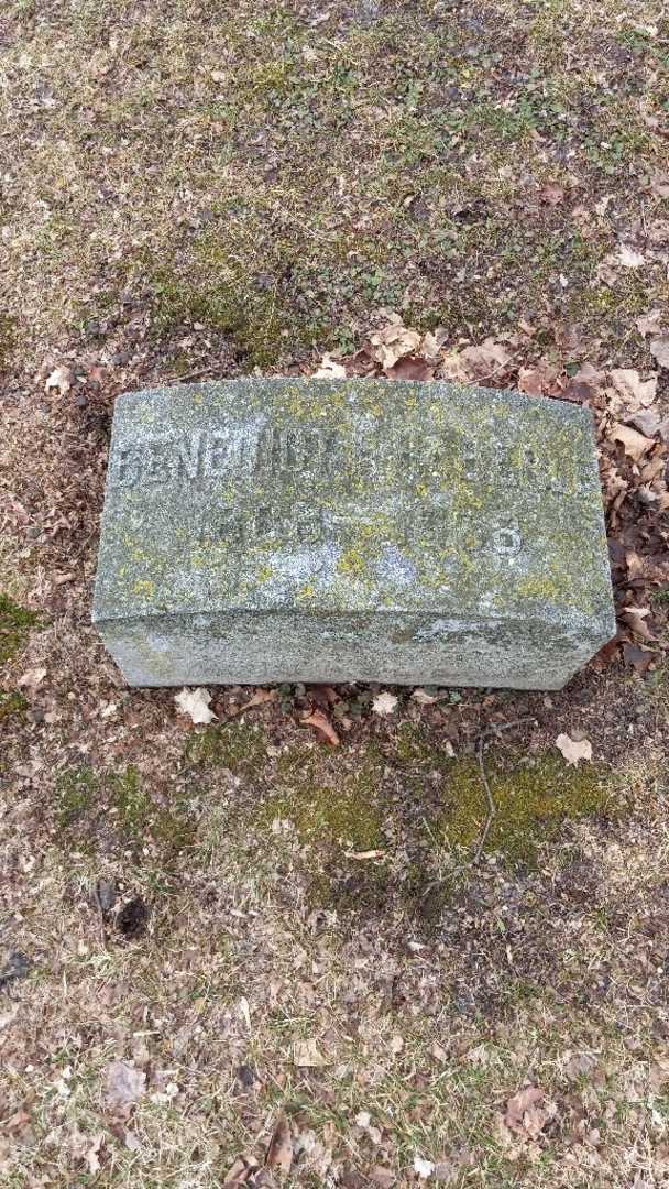 Benedict F. Haberle's grave. Photo 2