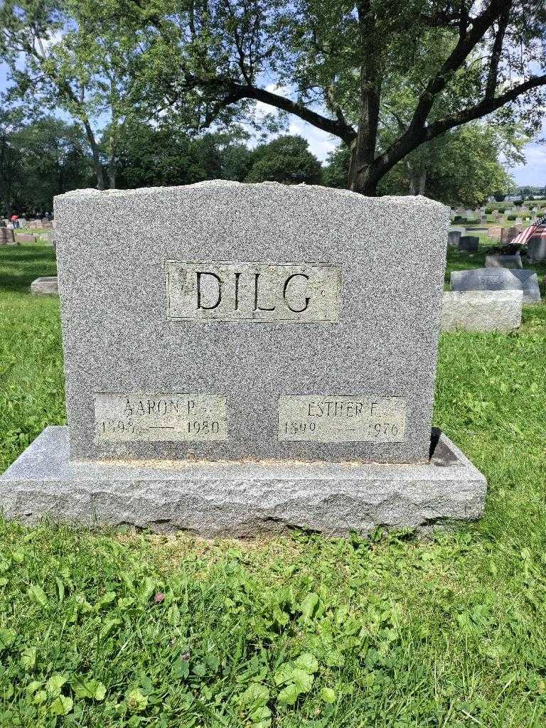 Aaron P. Dilg's grave. Photo 2