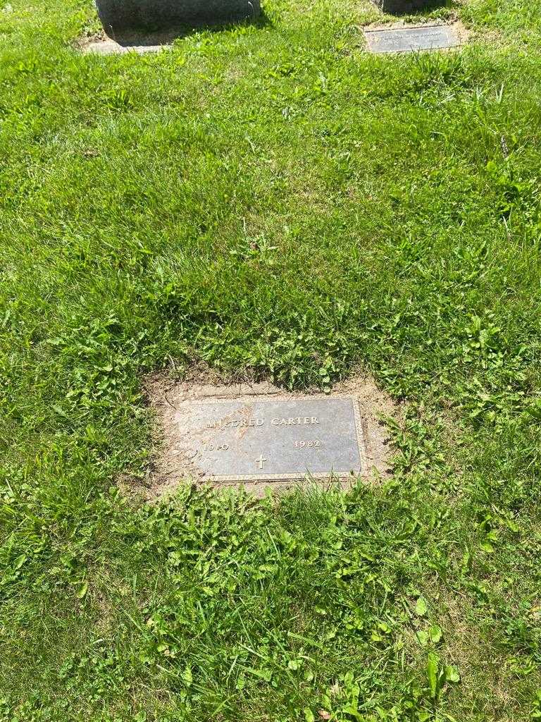 Mildred Carter's grave. Photo 2