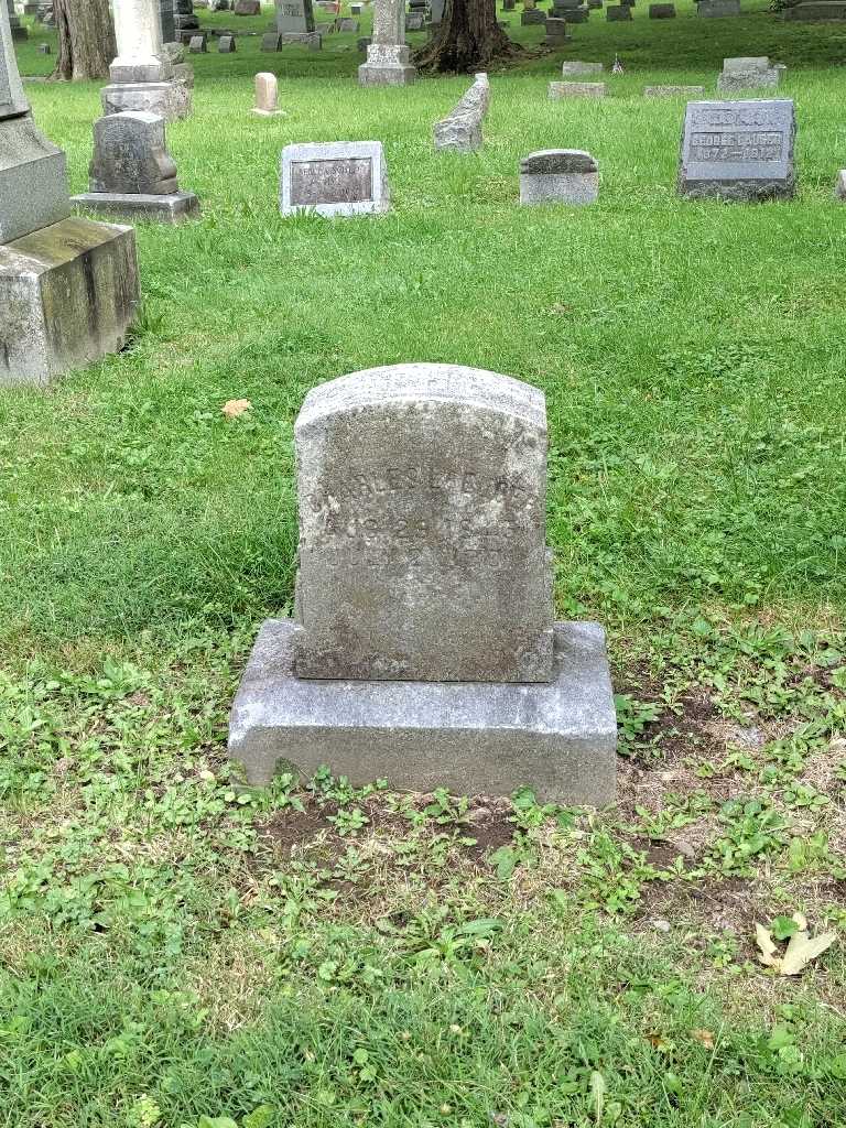 Charles Laeuger's grave. Photo 2