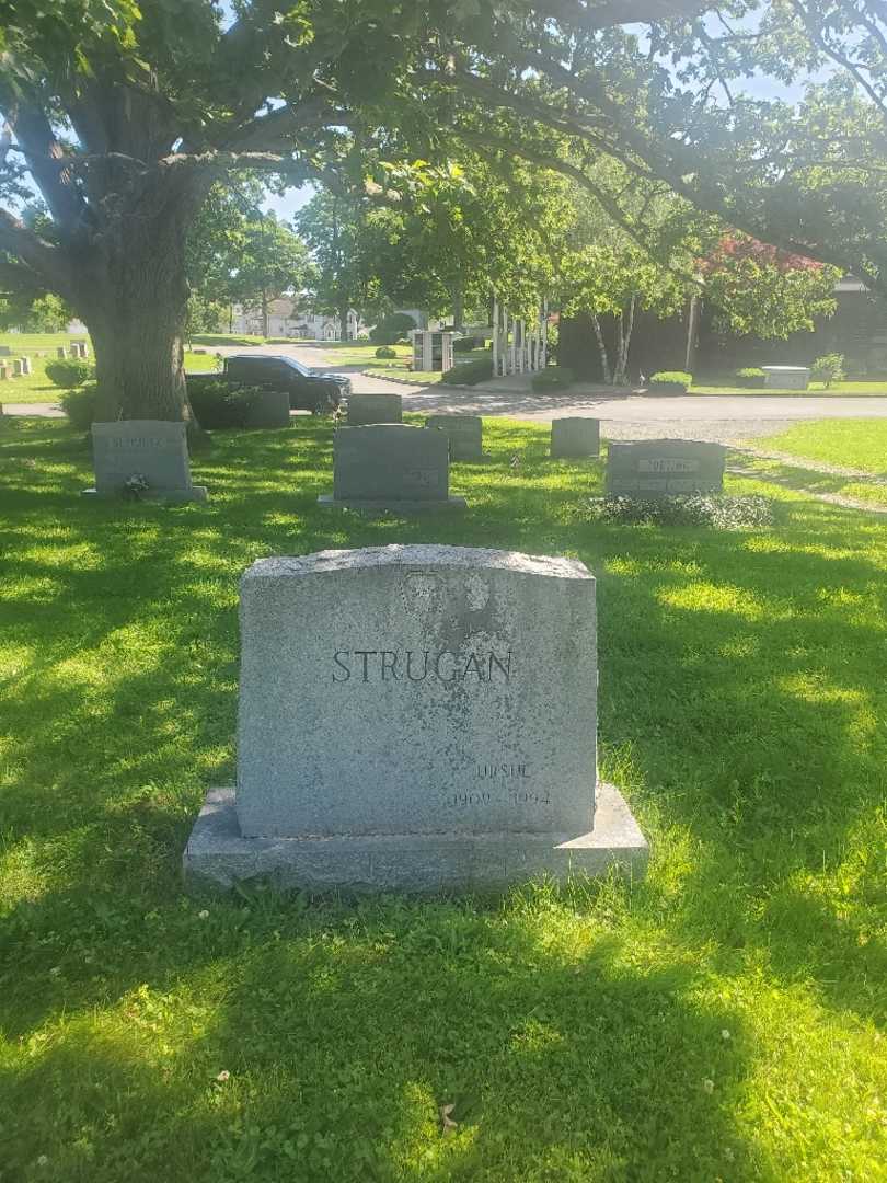 Ursul Strugan's grave. Photo 1