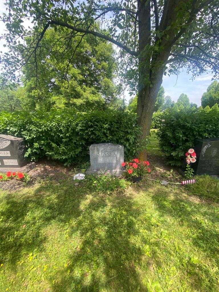 Michael J. Senska Junior's grave. Photo 1