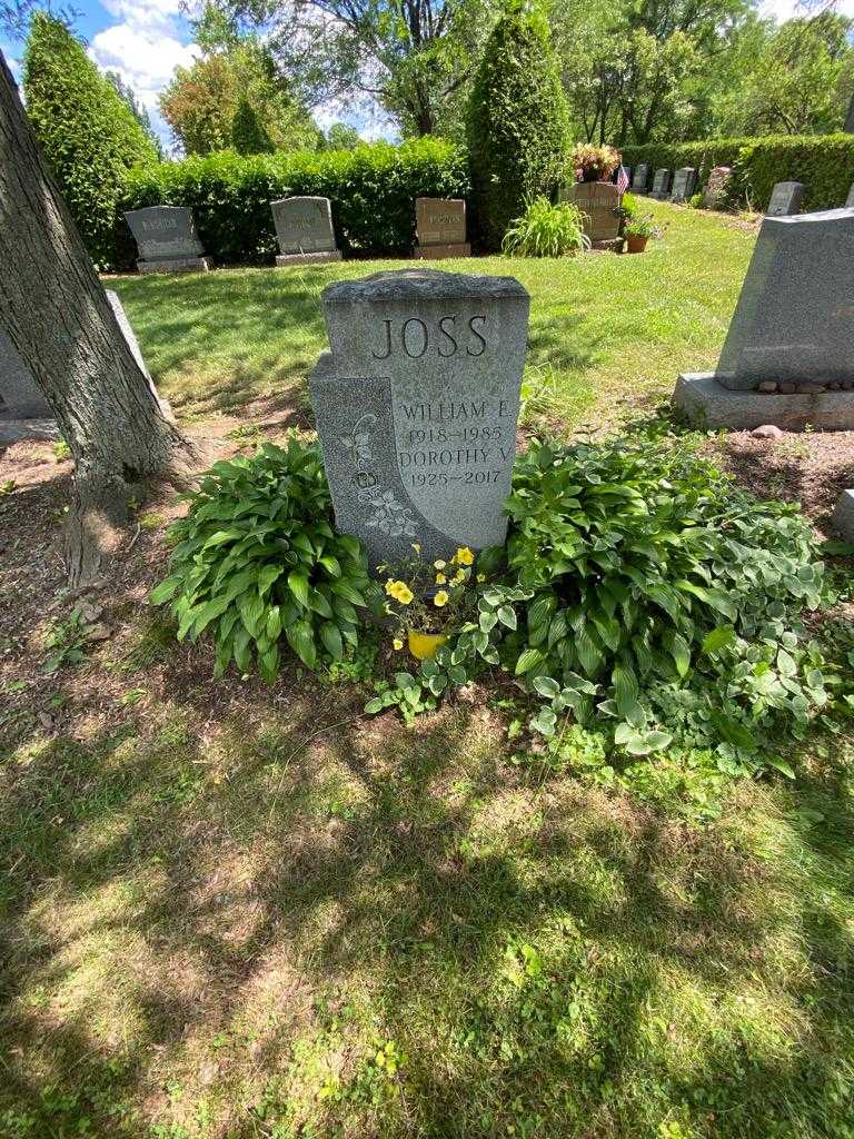 William E. Joss's grave. Photo 1