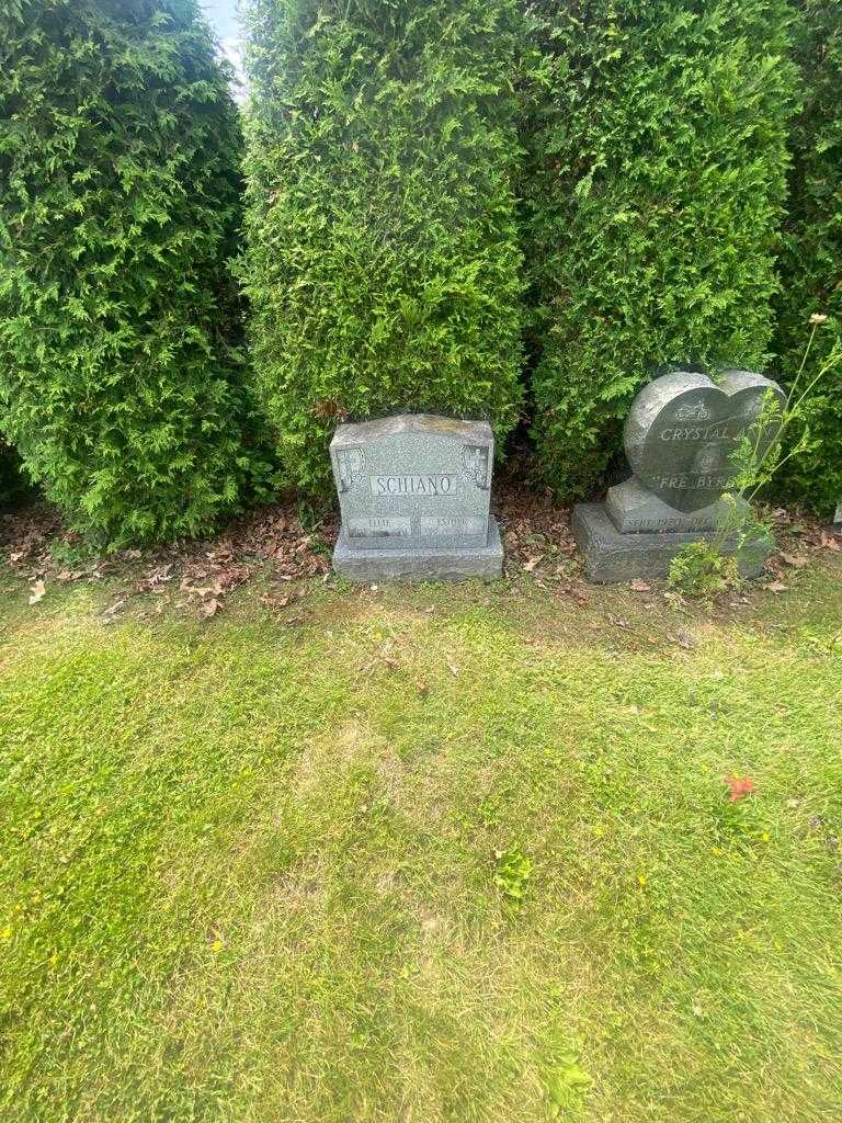 Ellie Schiano's grave. Photo 1