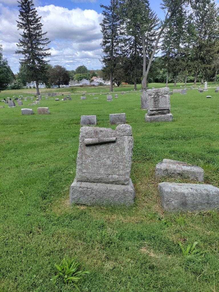 Rose A. Wilcox's grave. Photo 1