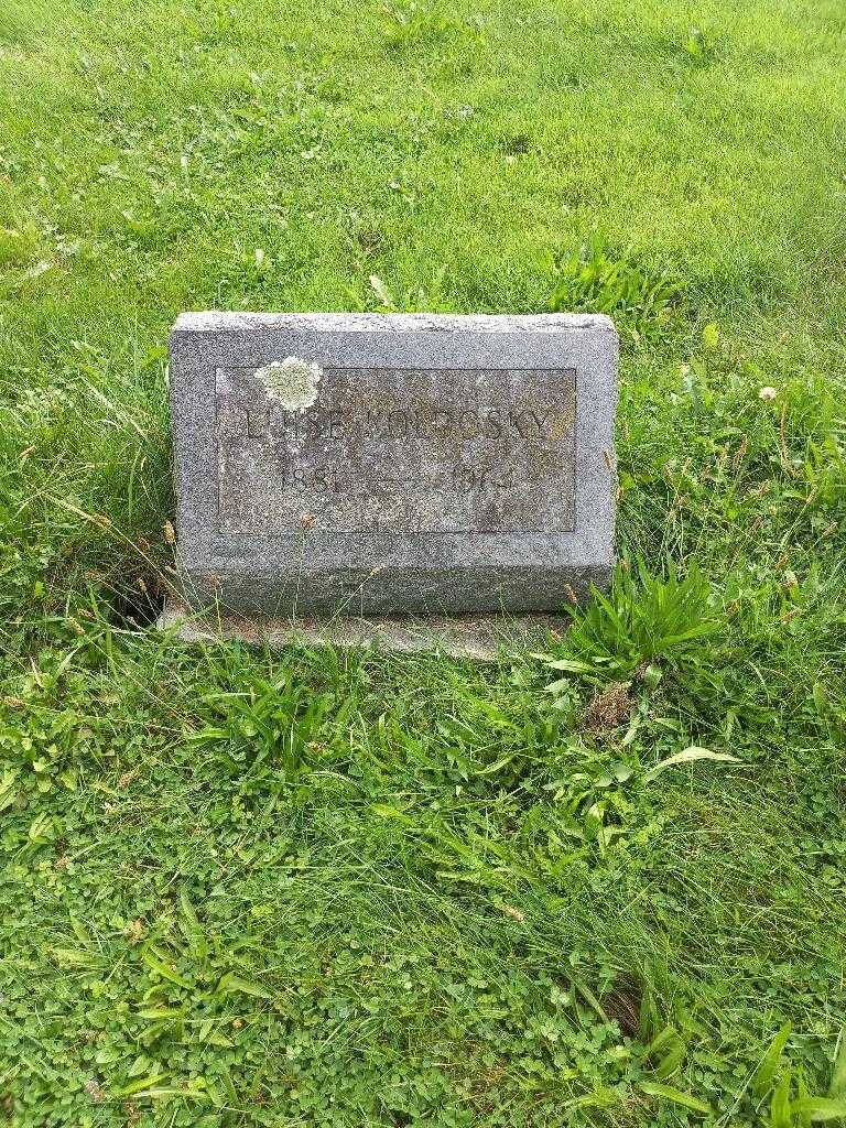 Luise Schwald Koldosky's grave. Photo 1