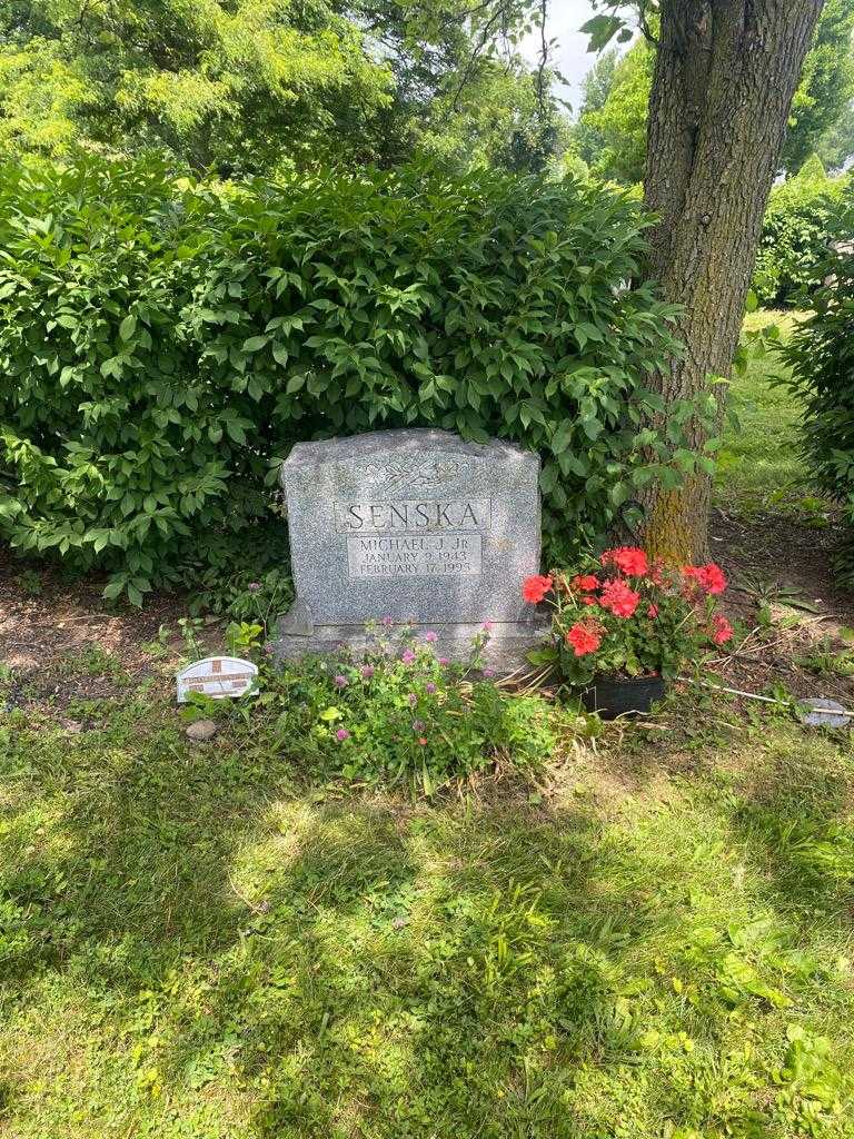 Michael J. Senska Junior's grave. Photo 2