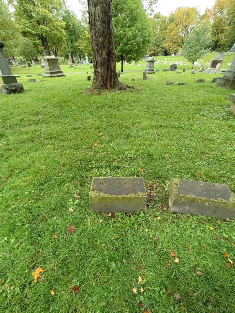 Philip Oswald's grave. Photo 1