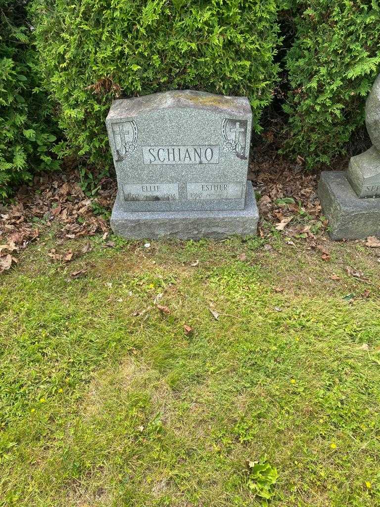 Ellie Schiano's grave. Photo 2