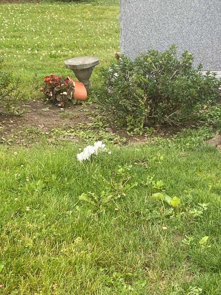 Sifa Mukakalangwa's grave. Photo 1