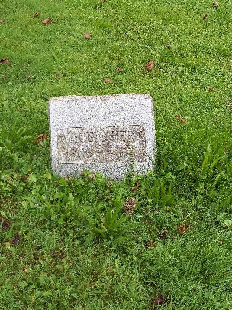 Alice C. Herb's grave. Photo 2