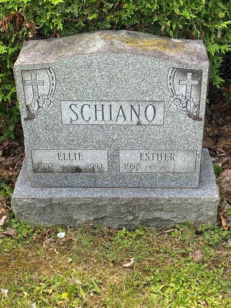 Ellie Schiano's grave. Photo 3