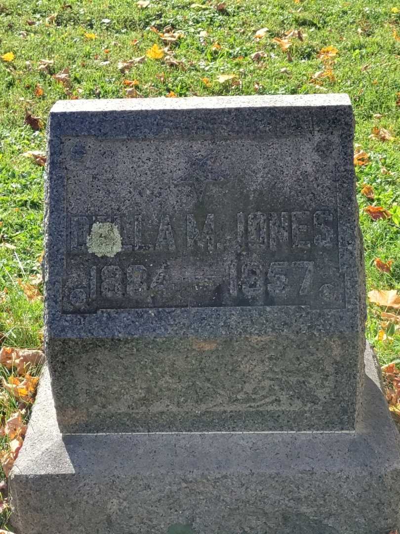 Della M. Jones's grave. Photo 3