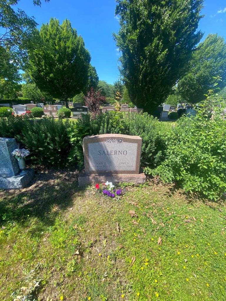 James Salerno's grave. Photo 1