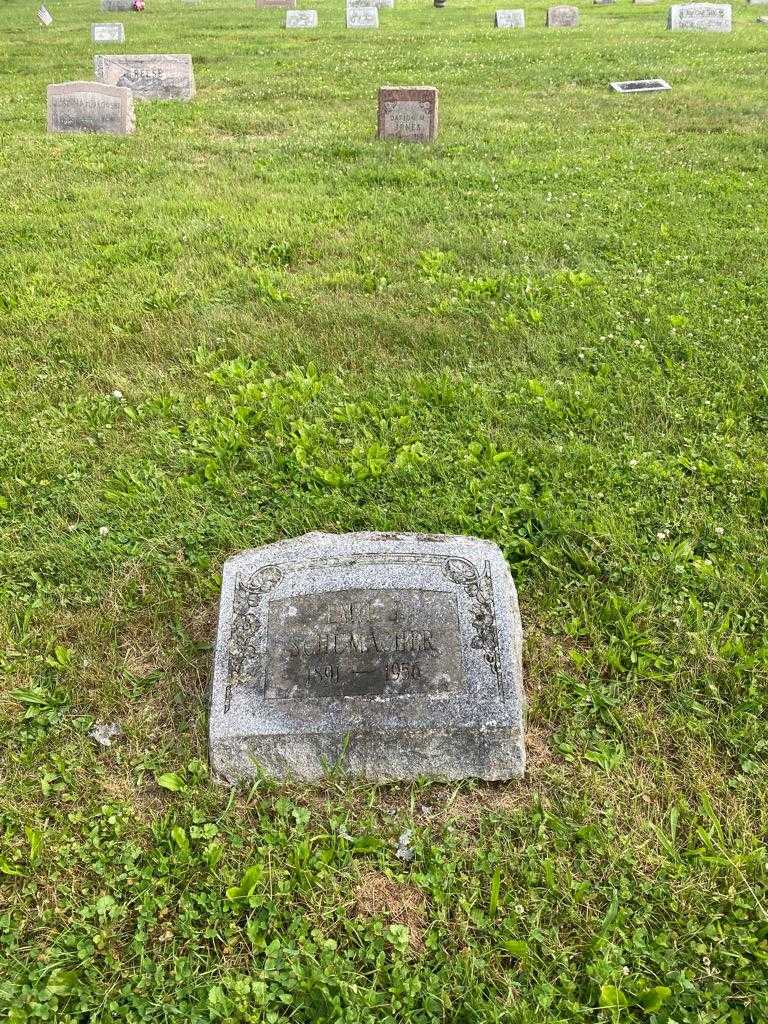 Emil J. Schumacher's grave. Photo 2