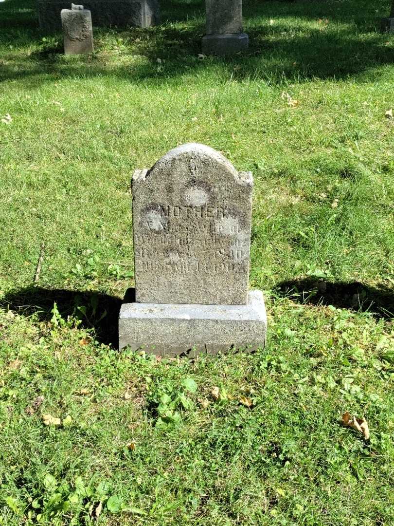 Anna M. Schwanz's grave. Photo 2