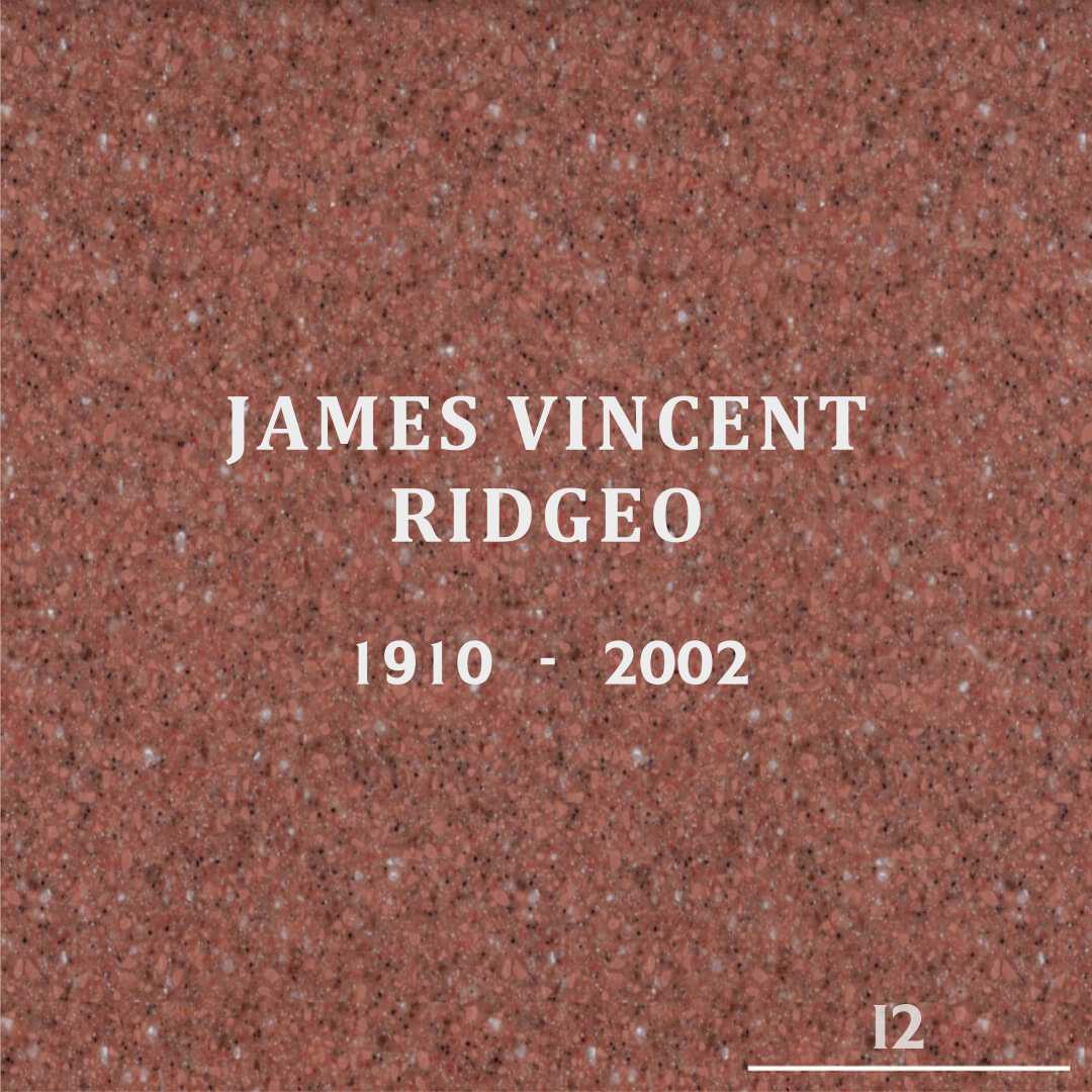 James Vincent Ridgeo's grave