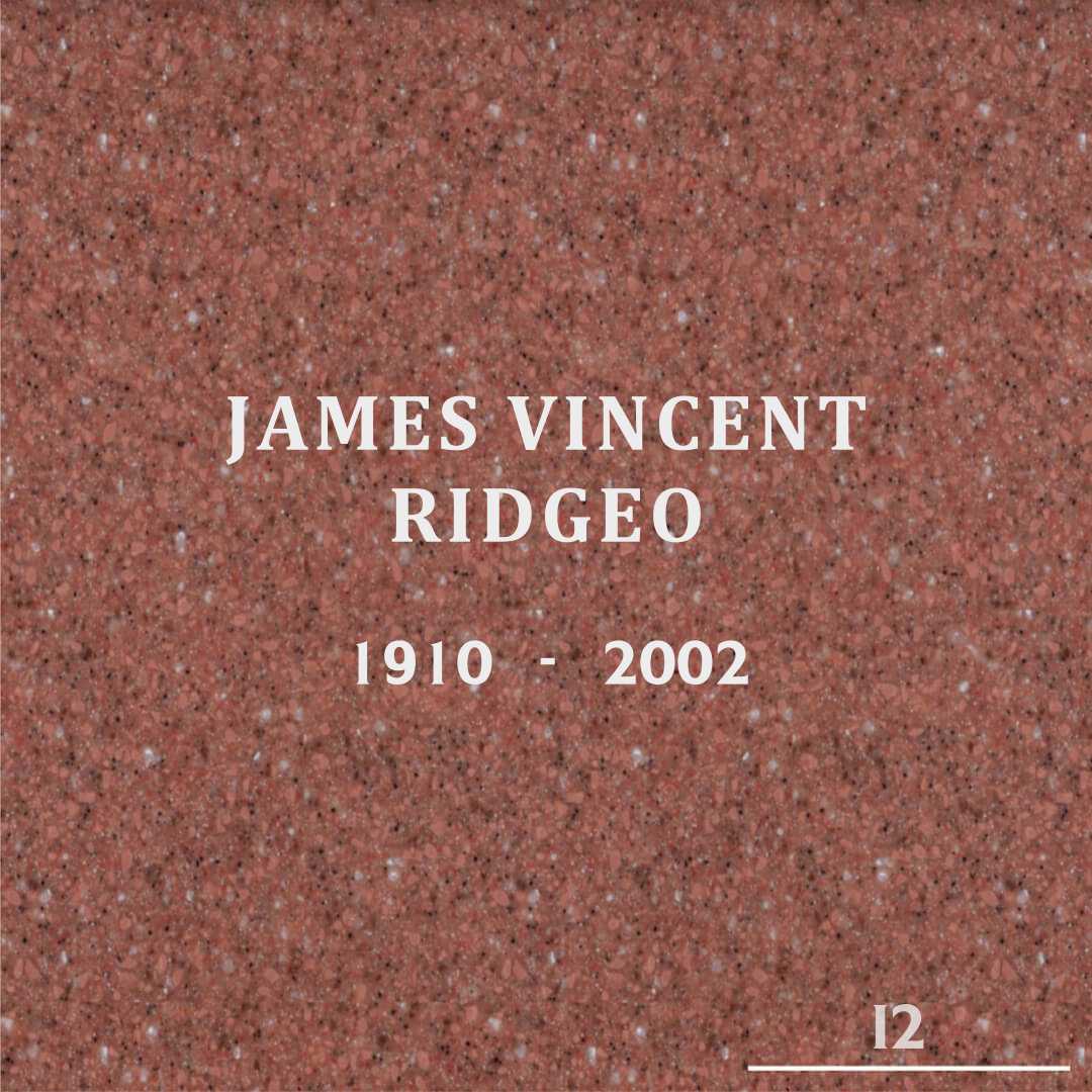 James Vincent Ridgeo's grave