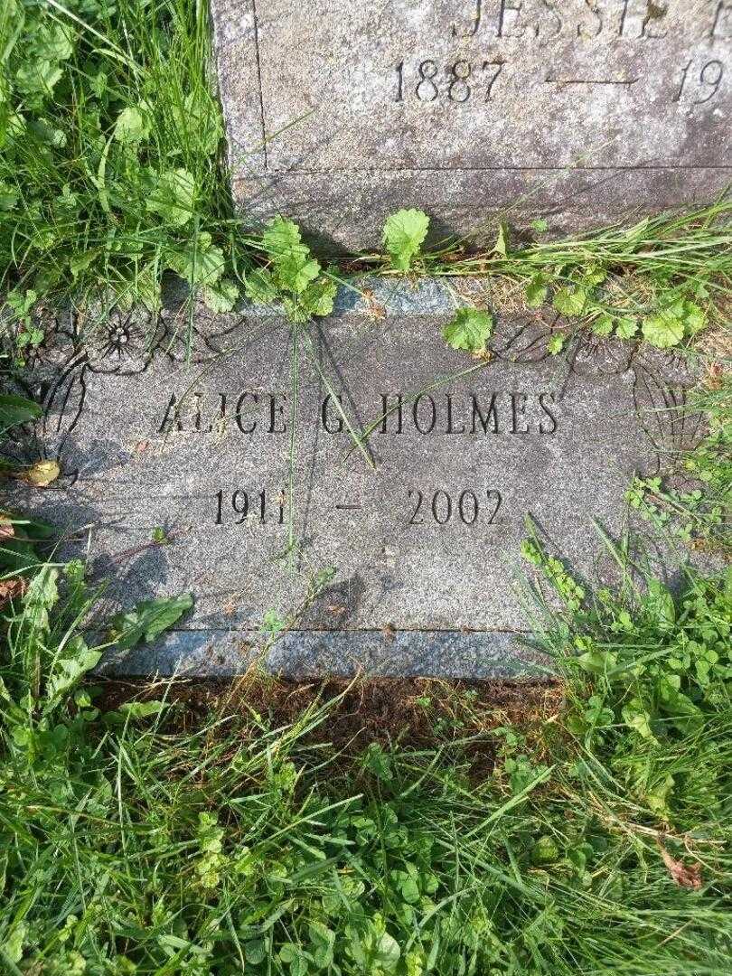 Alice G. Holmes's grave. Photo 4