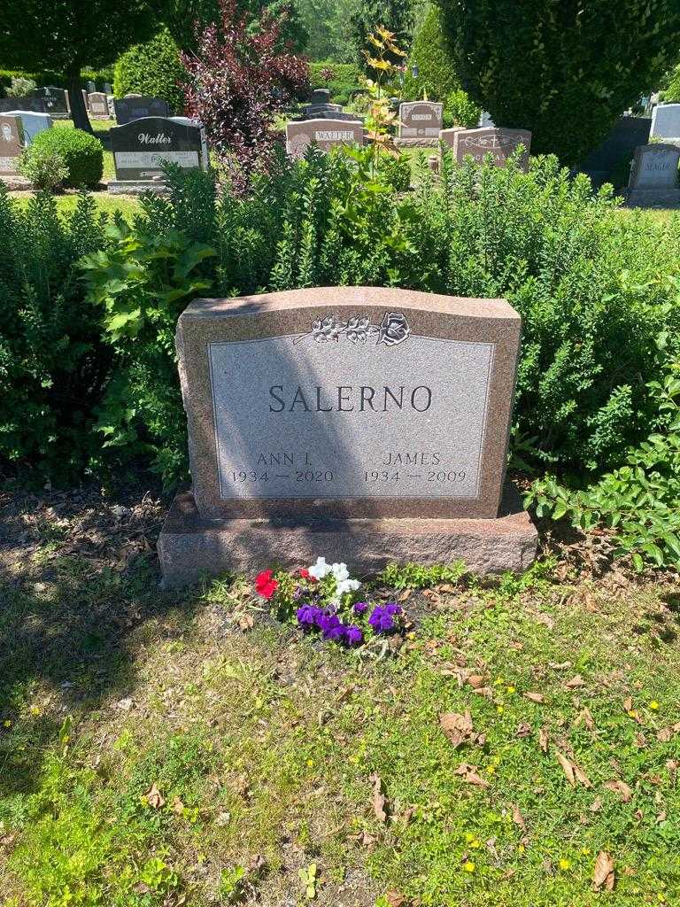James Salerno's grave. Photo 2