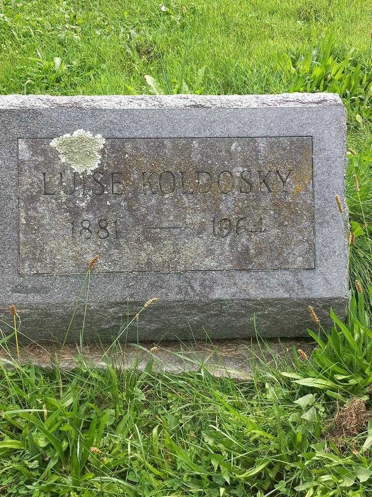 Luise Schwald Koldosky's grave. Photo 2